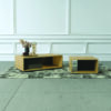 ECOCENTRIC COFEE TABLES