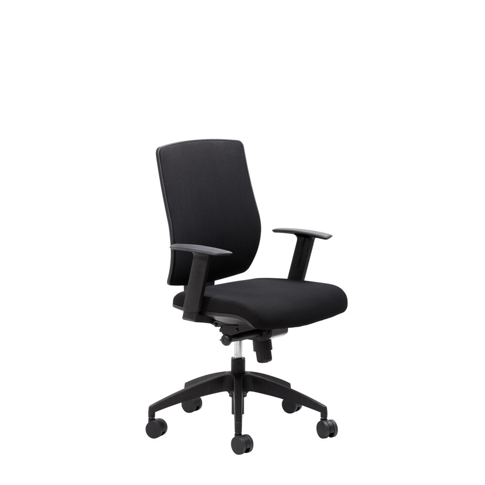 Twin Office Chairs Cecil Nurse
