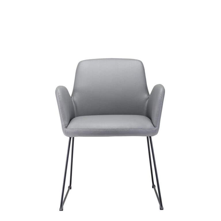 C-Visitor Grey 01