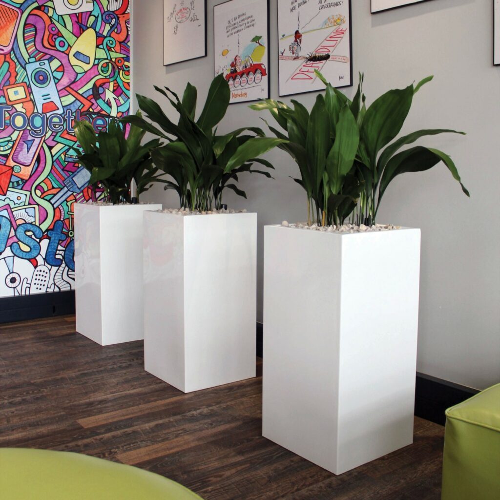 Cecil Nurse | Office Plants | Office Decor | Office Planters