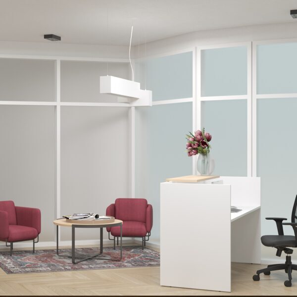 RECEPTION AREA VIEW