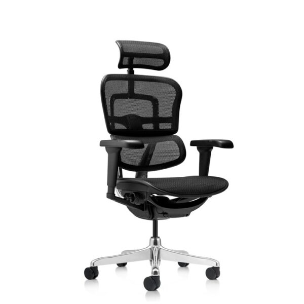 Ergohuman Ultra 02b