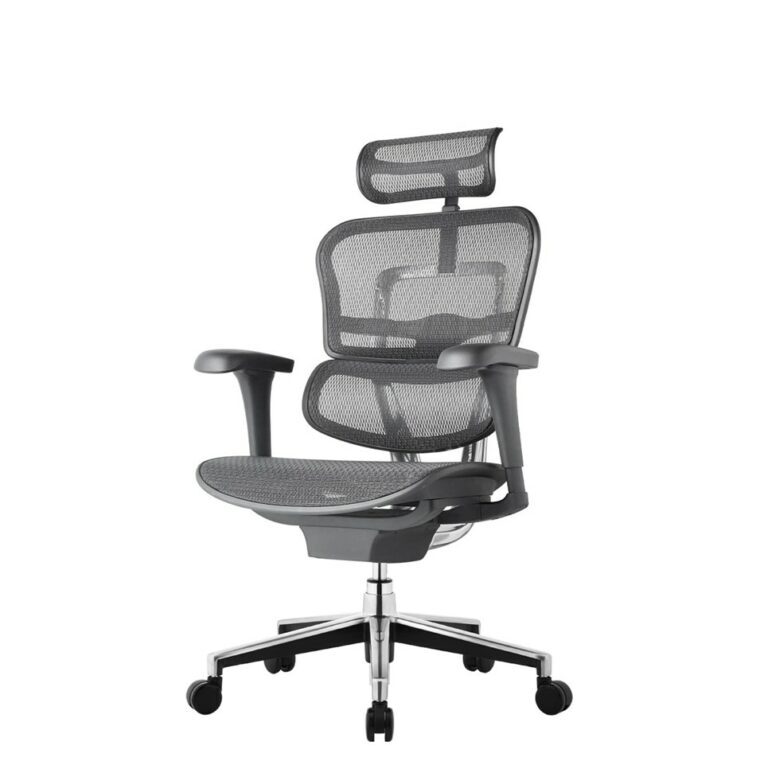 Ergohuman WB 02