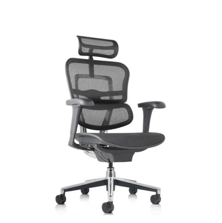 Ergohuman WB 02a