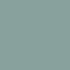 Turquoise - Kicca One