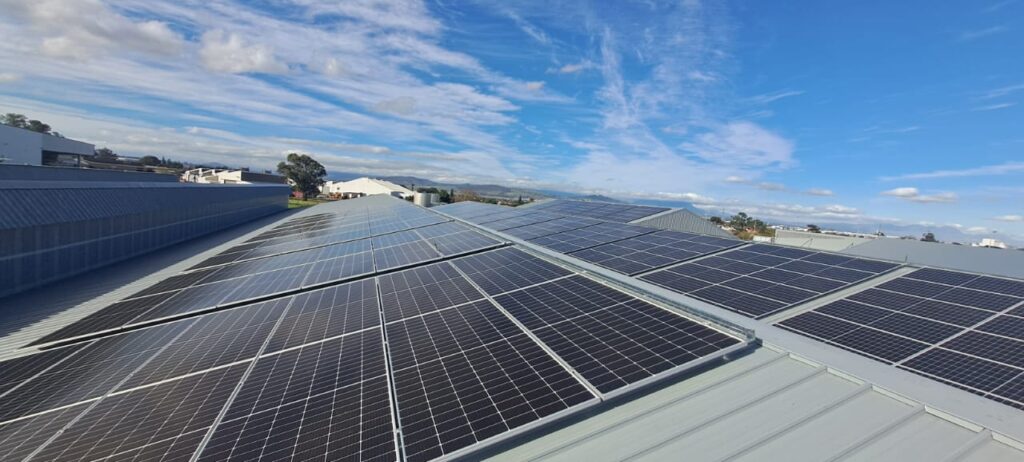 Renewable energy cecil nurse