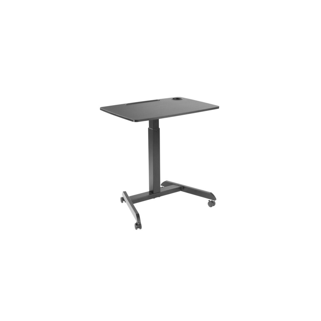 ERGO RISE 2