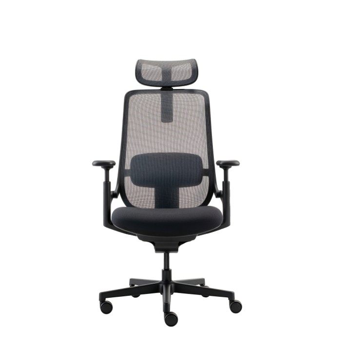 Triade HB 01