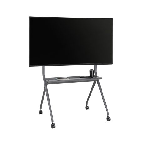 Ergo View 1