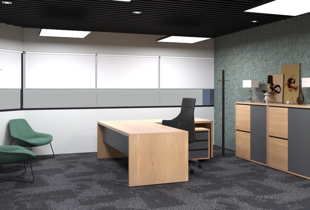 GM OFFICE VIEW 2