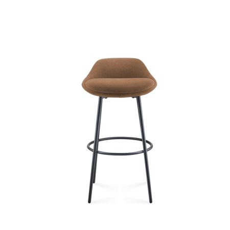 Lunar Brown 01