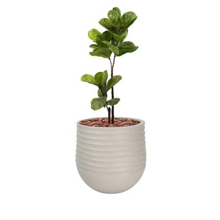 Mariella Planter with Plant